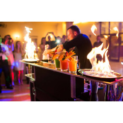 Portable Bartender Trolley Bar Counter