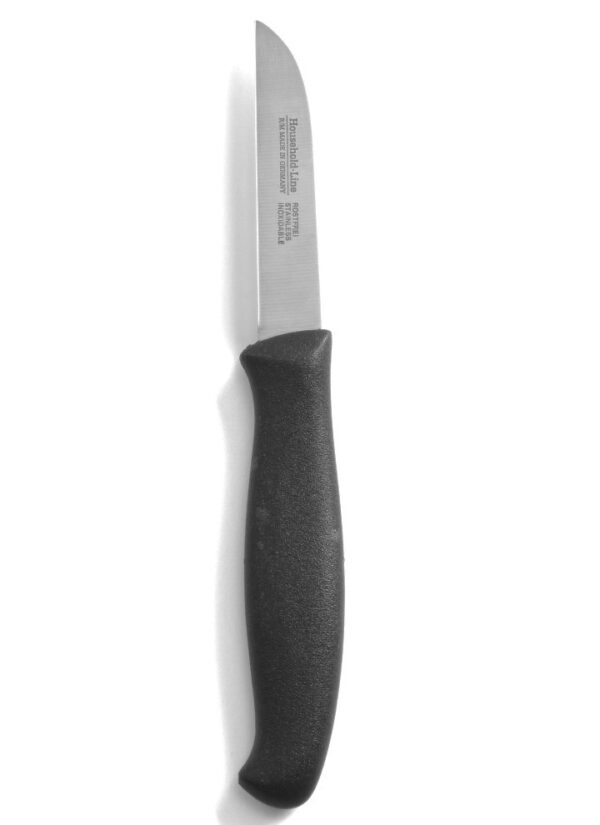 Paring Knife, Straight Stainless Steel Blade, Black Handle, 22cm