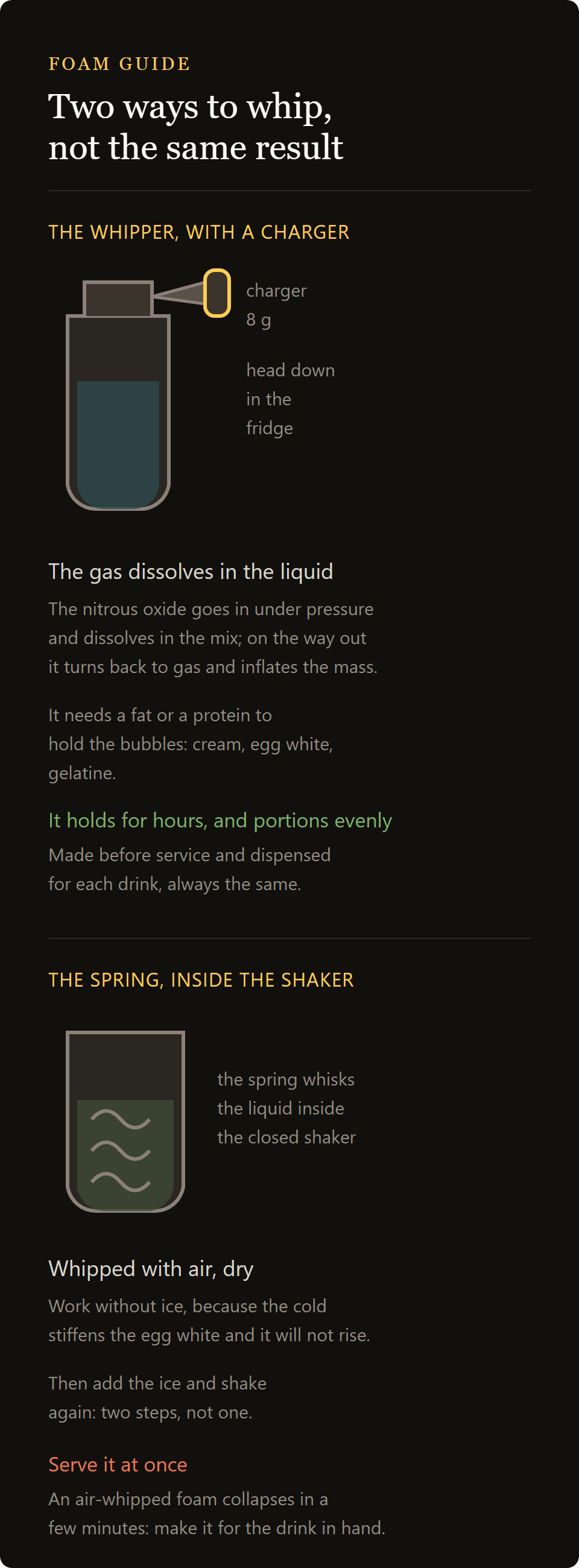 shaker spring: the cream whipper with its N2O charger and the shaker spring compared