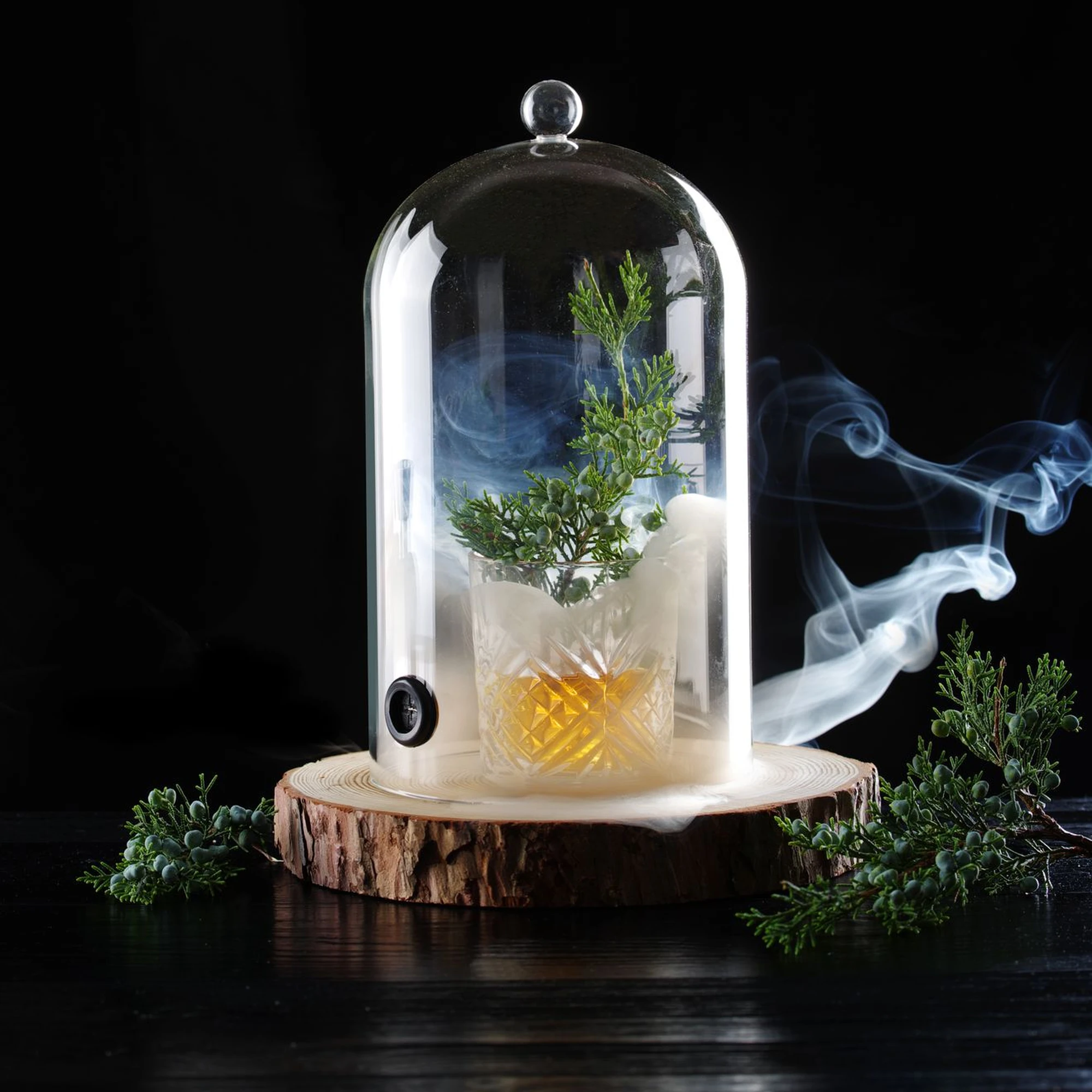 Smoking Cloche in Glass with Valve for a Smoking Gun
